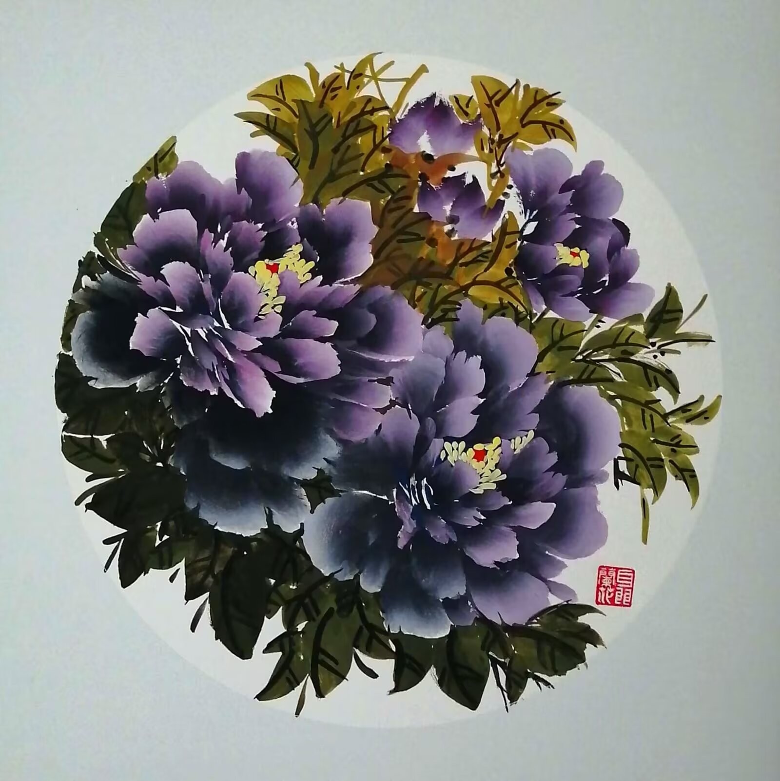 图片 12.jpg