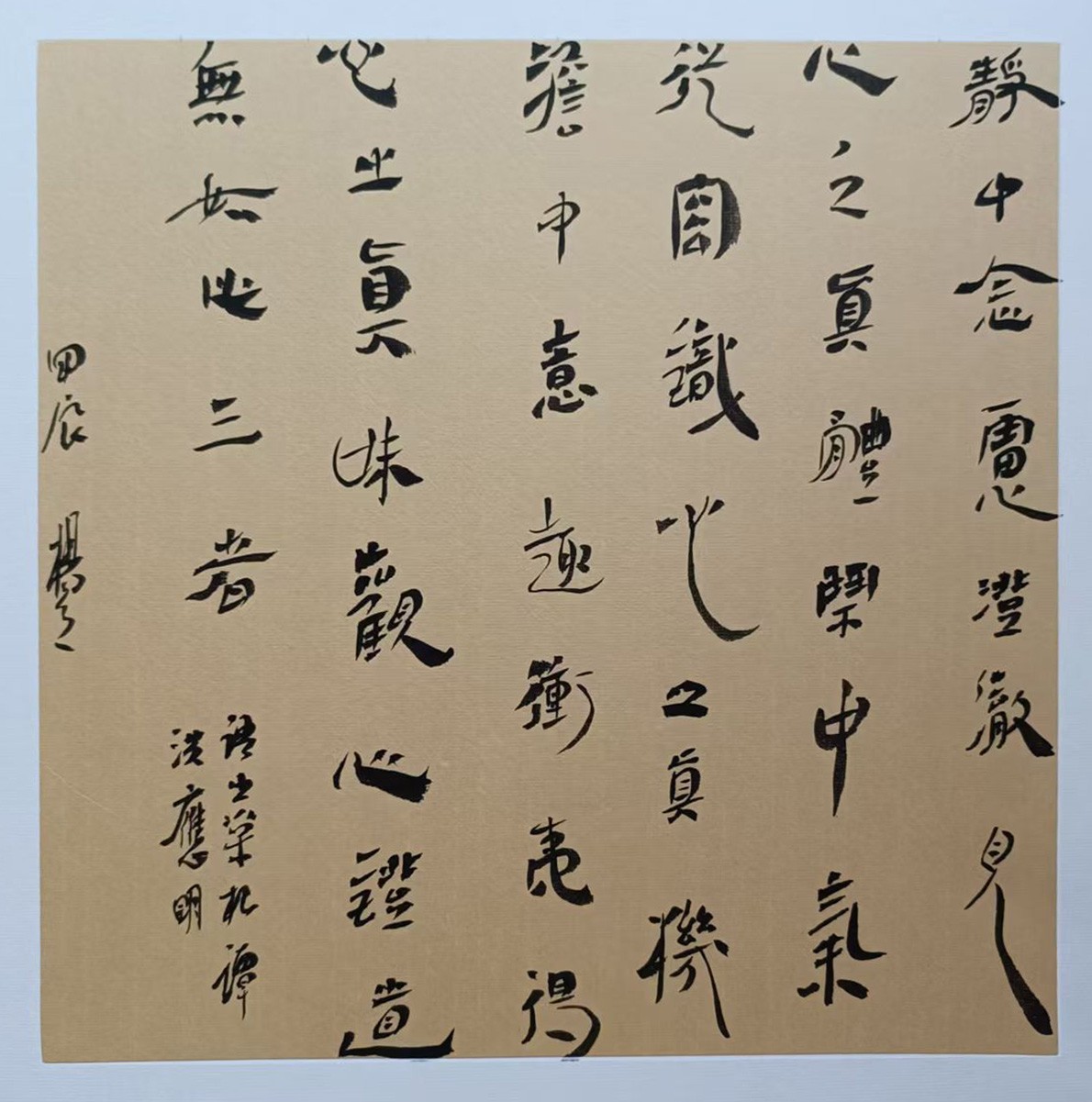 图片 5.jpg
