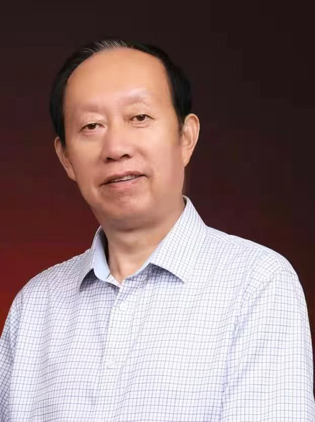 张琳书法作